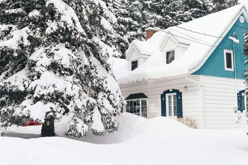 Snow-covered white and blue house beside evergreen trees in winter