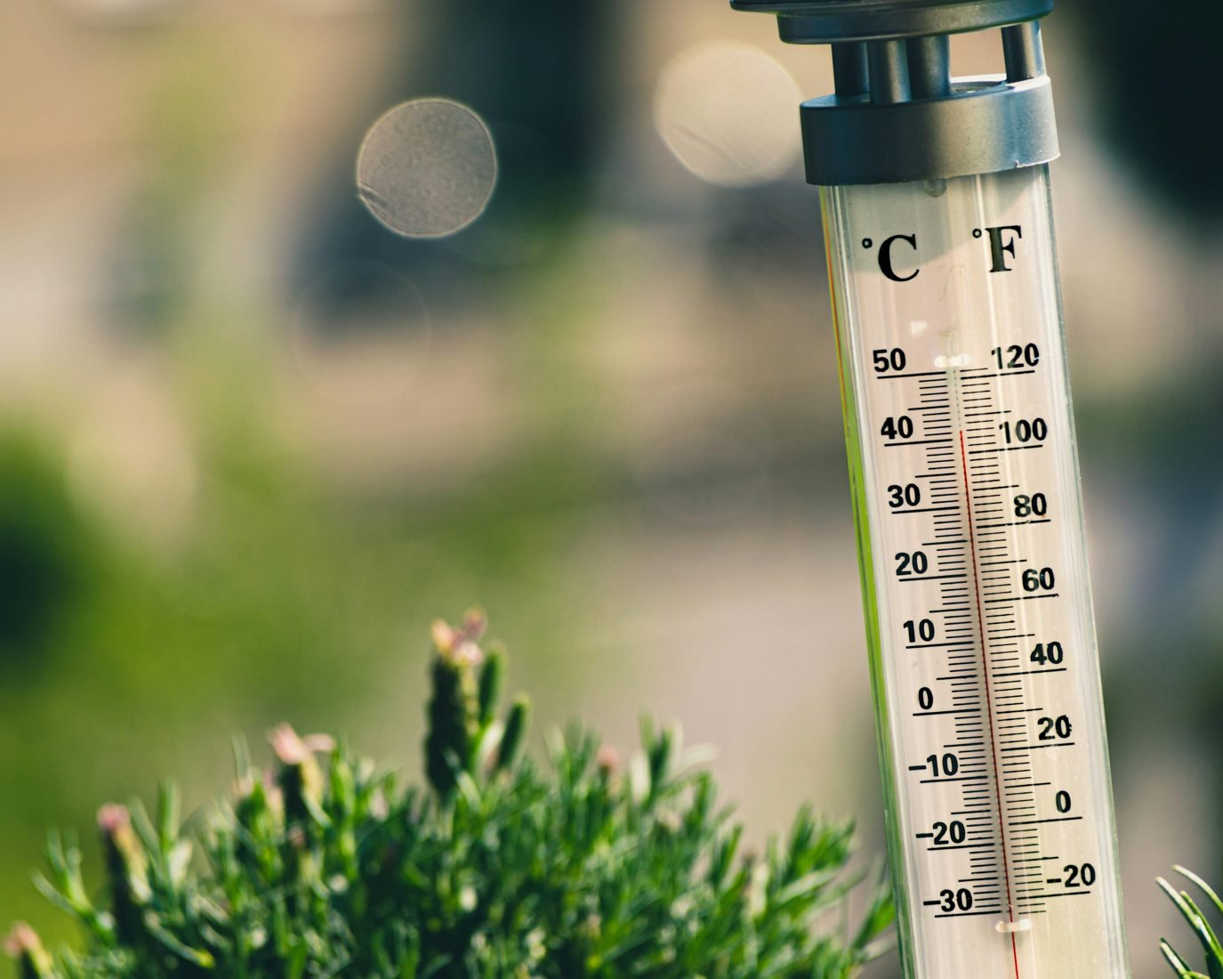 Outdoor thermometer showing a high temperature beside green plants