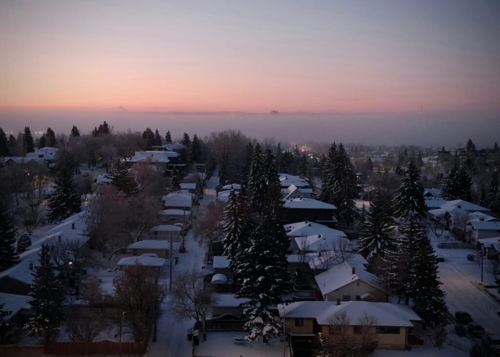 Snow-covered residential neighbourhood at dawn.